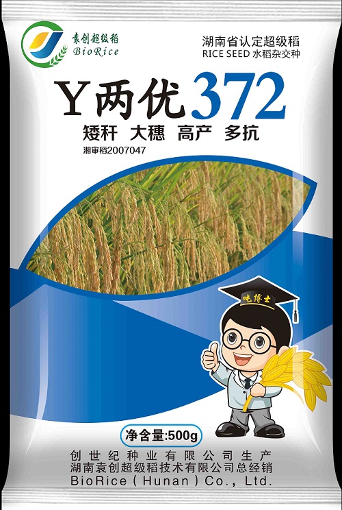 Y兩優372