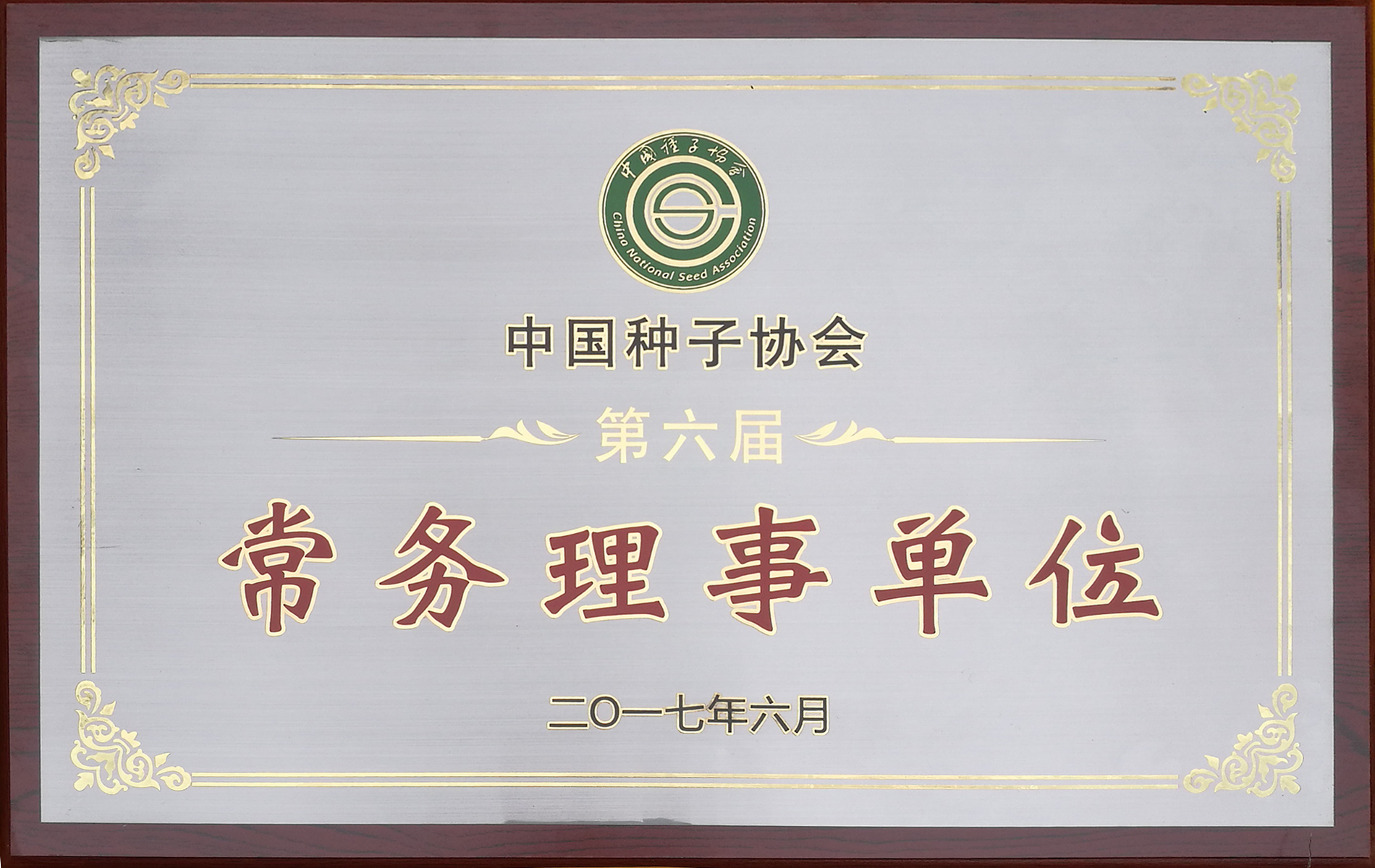 點擊查看大圖