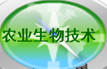 審定品種