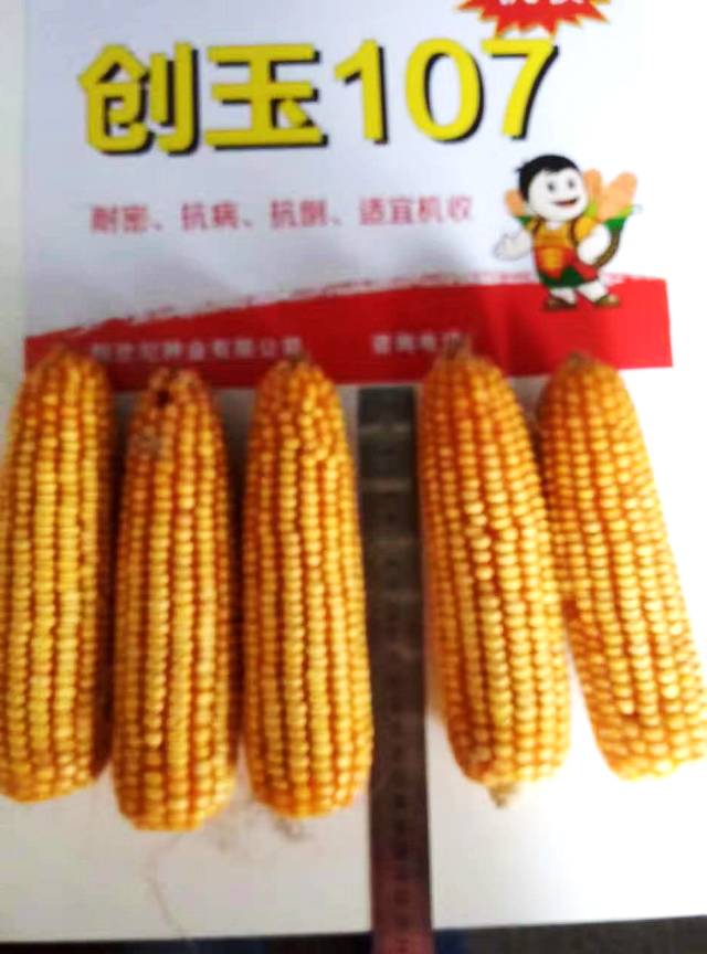 創玉107